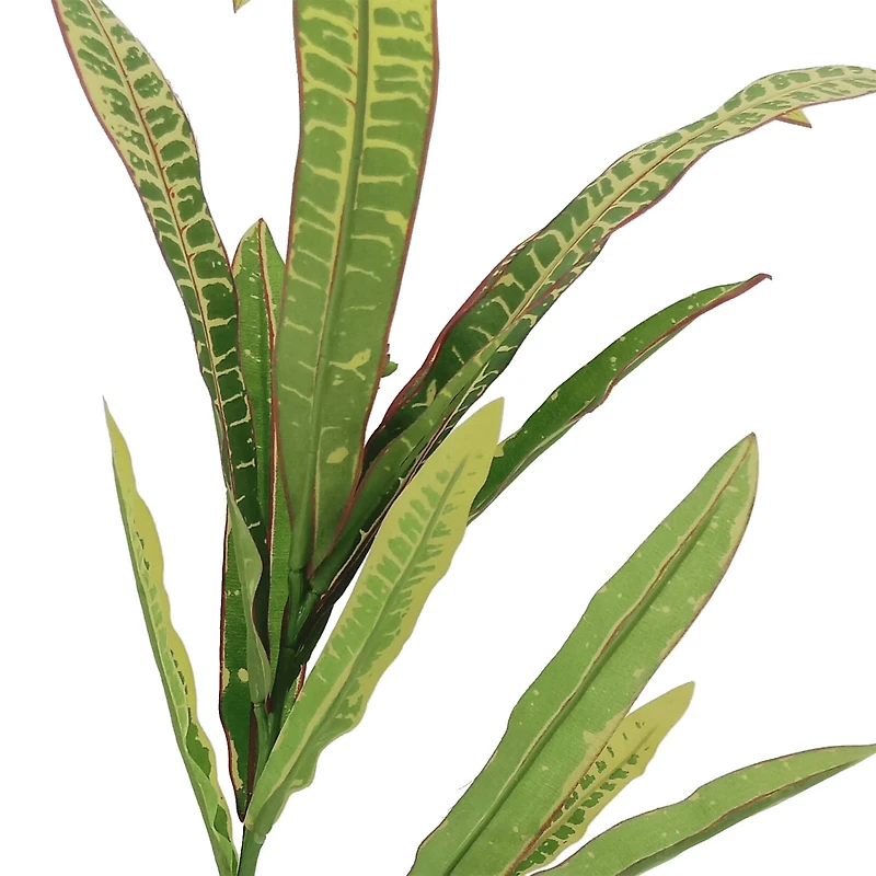 Green & Yellow Croton Fall Stem by Ashland®