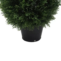 2ft. Potted Cedar Teardrop Shaped Bush