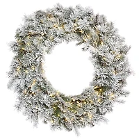 30" Pre-Lit Flocked Kiana Artificial Christmas Wreath, Warm White Wide Angle LED Lights