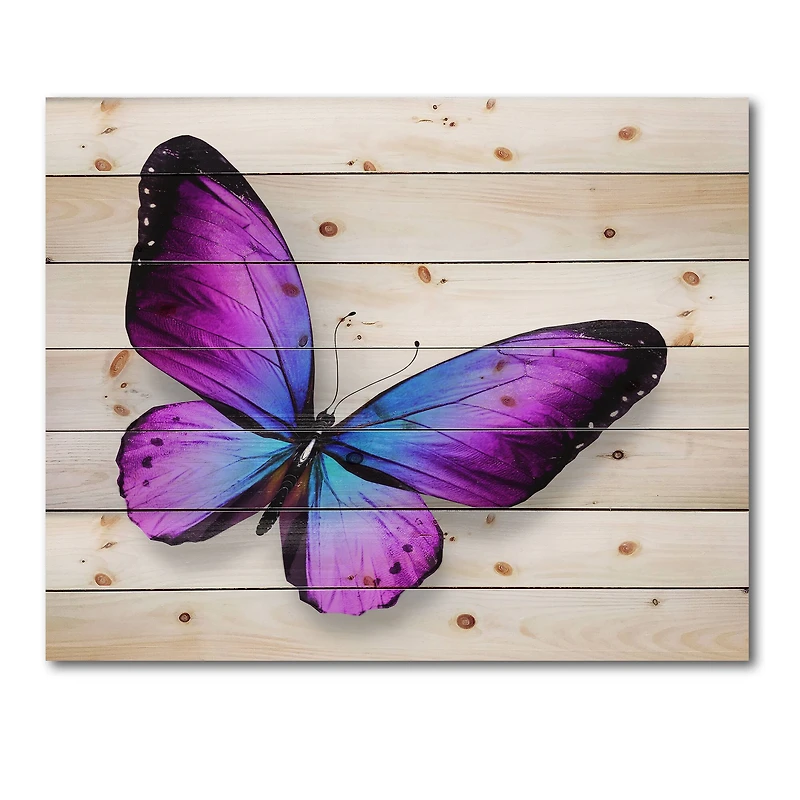 Designart - Violet and Blue Butterfly