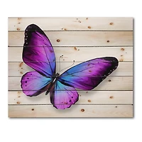 Designart - Violet and Blue Butterfly