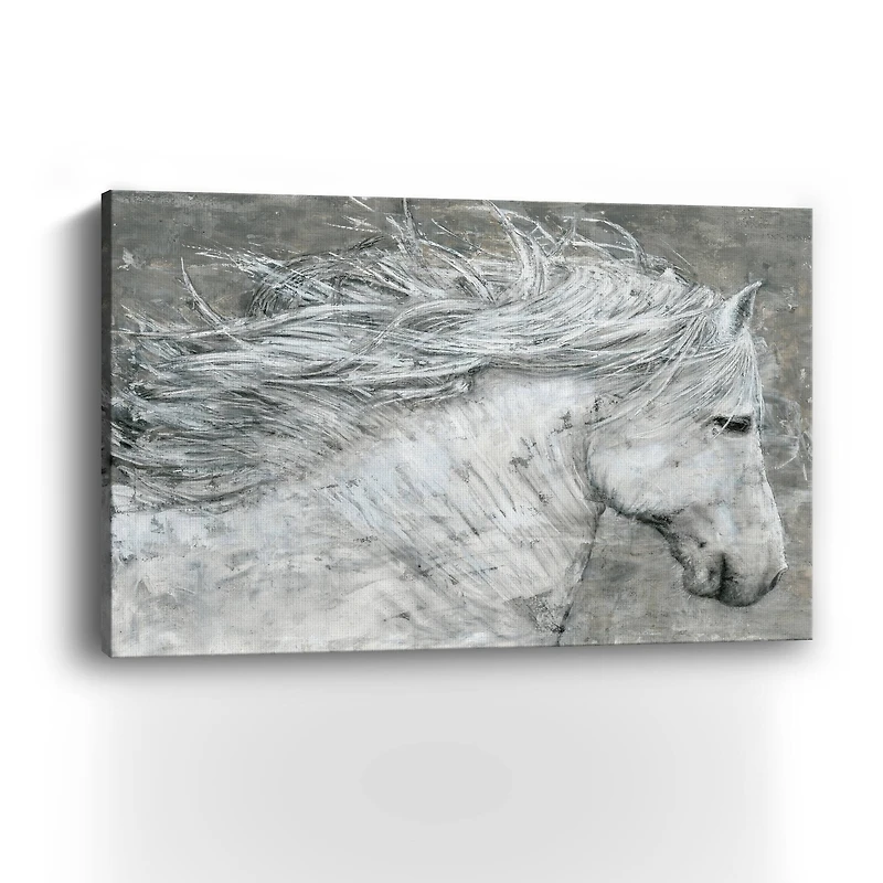 Wild Horse Canvas Giclee