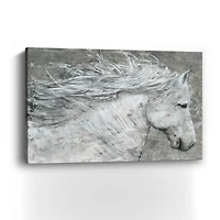 Wild Horse Canvas Giclee