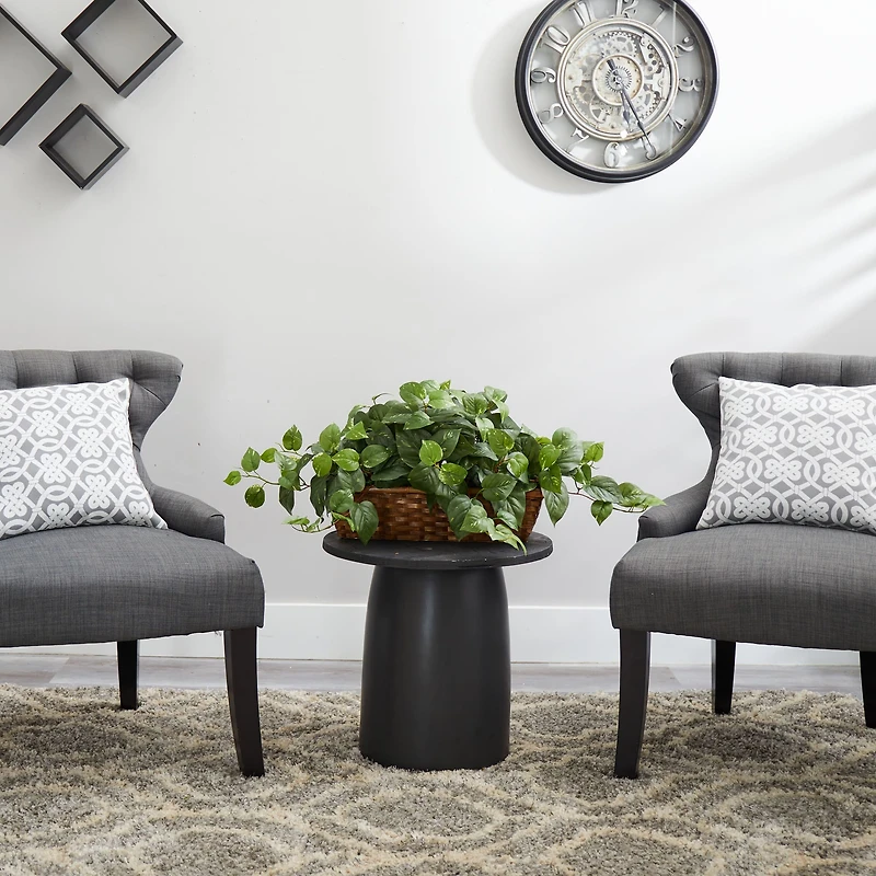 15" Pothos in Ledge Basket