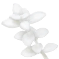 32" Snowy White Boxwood Stem by Ashland®