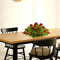 12" Geranium Ledge Plant