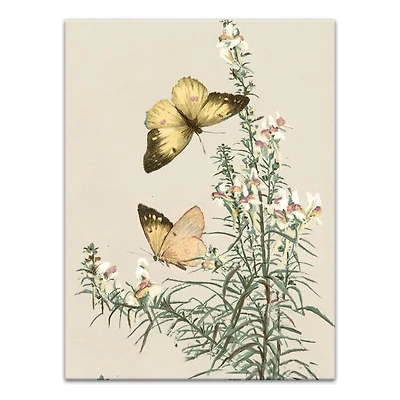 Butterflies In Sage 12" x 16" Canvas Wall Art
