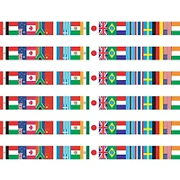 Edupress™ International Flags Spotlight Border™, 210ft.