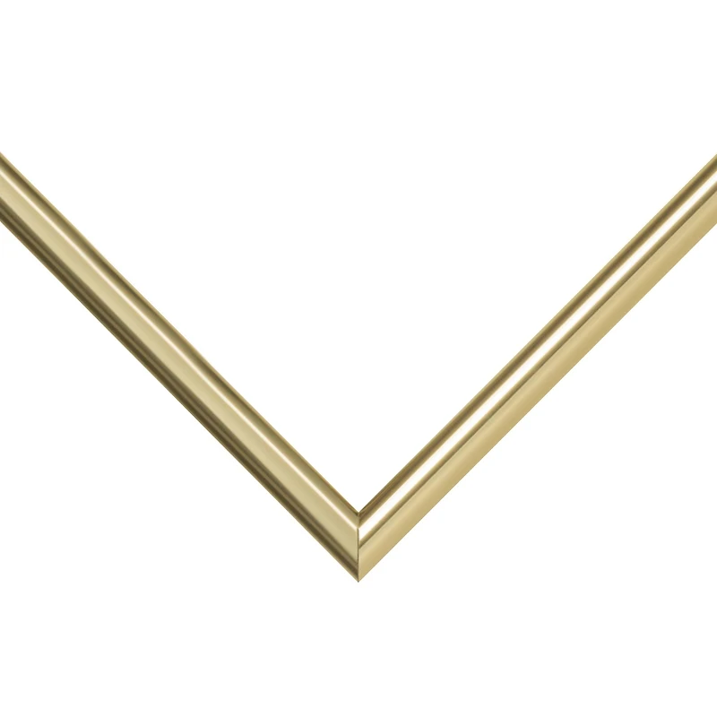 Frame USA Metal I Gold Single Image Picture Frame