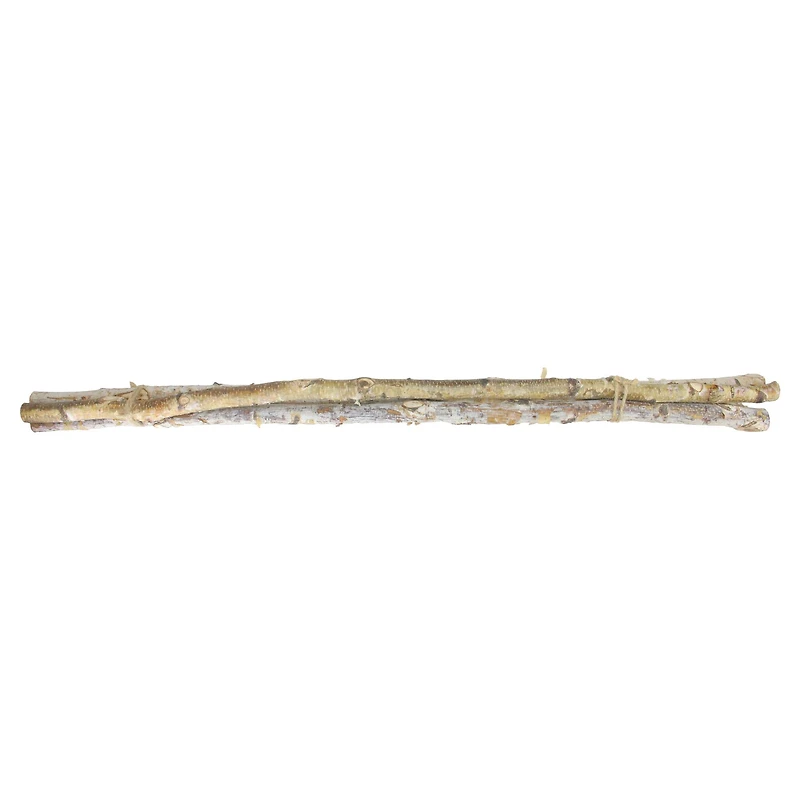 Brown Birch Wood Branch Bundle, 3ct.
