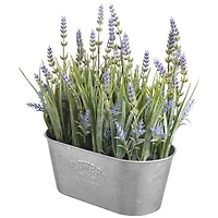 Haute Decor 10" Lavender In Galvanized Metal Pot