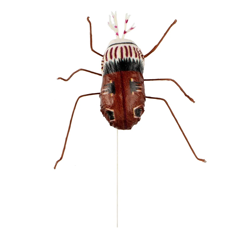 Bugs, 2ct. by Ashland®