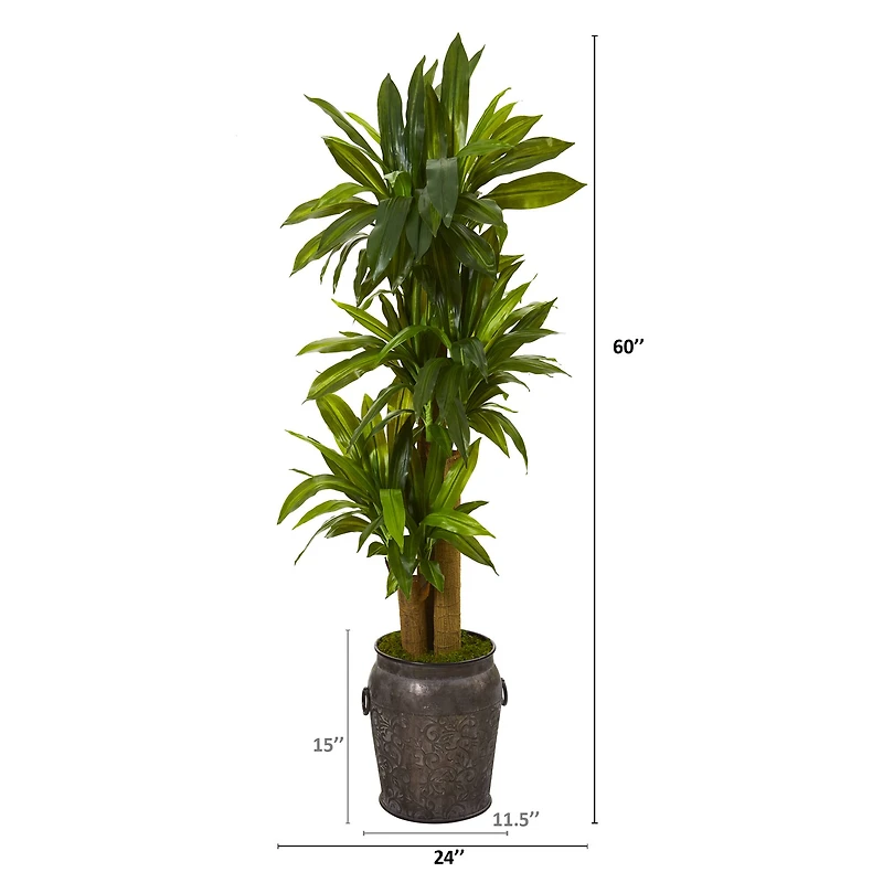 5ft. Corn Stalk Dracaena Plant in Metal Planter