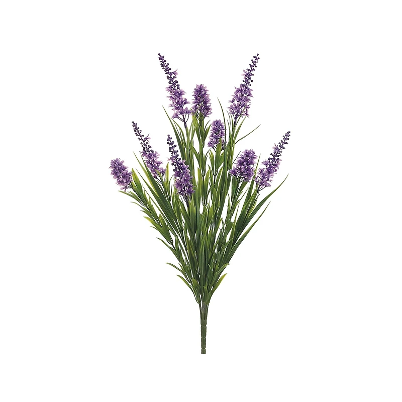 Lavender Star Flower & Grass Bush