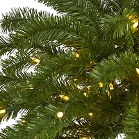 5ft. Pre-Lit Palm Artificial Christmas Tree, Warm White LED Lights