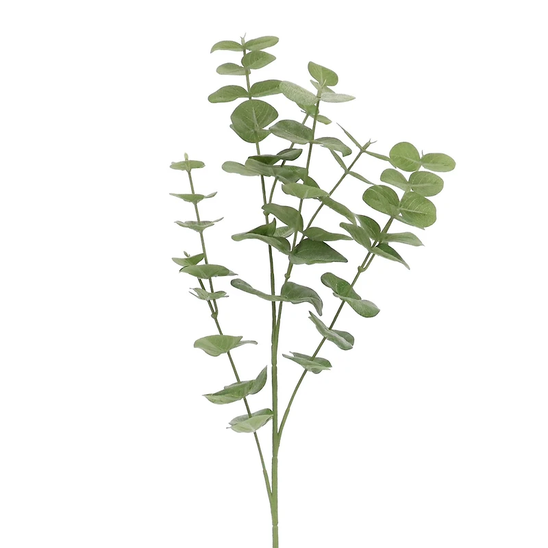 Green Gunni Eucalyptus Stem by Ashland®