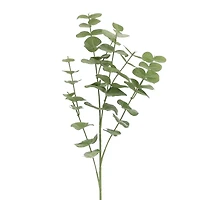 Green Gunni Eucalyptus Stem by Ashland®