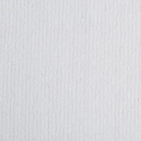 DII® Assorted Bold Barmop Dishtowel (Set of 4)