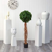 4.5ft. Potted English Ivy Ball Topiary Tree