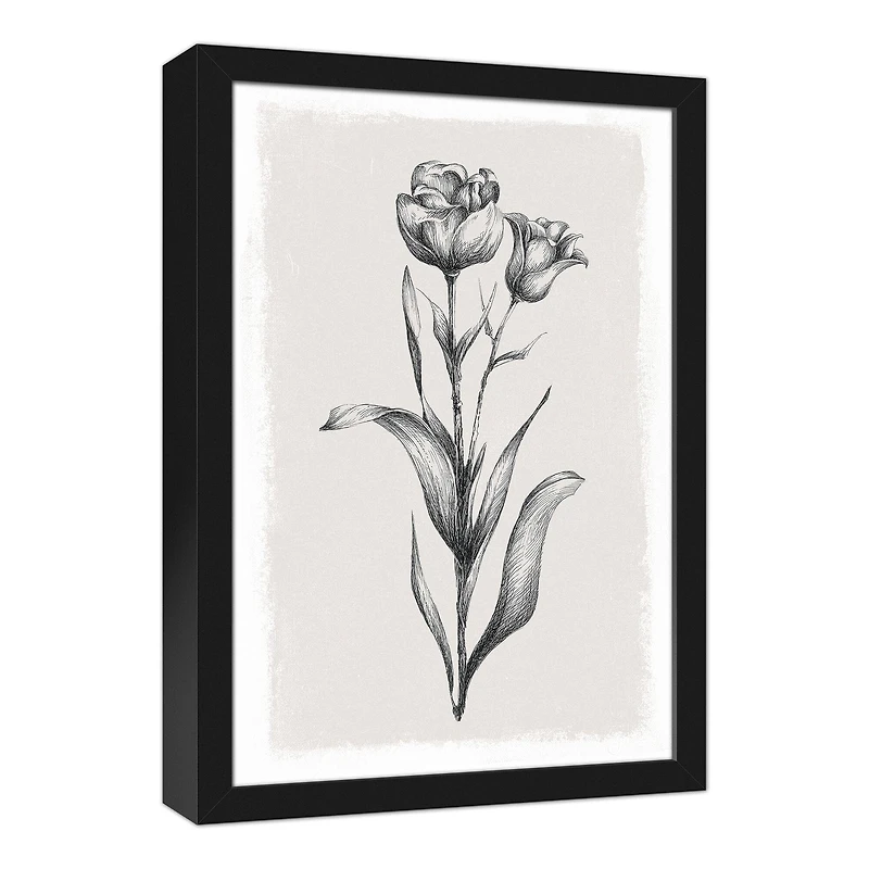 Floral Stems Sketch 13.73" x 19.73" Black Framed Canvas