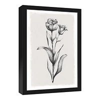 Floral Stems Sketch 13.73" x 19.73" Black Framed Canvas