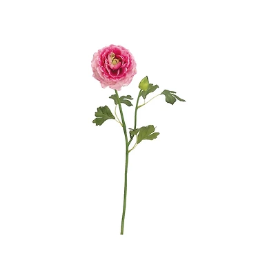 Pink Ranunculus Spray