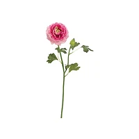 Pink Ranunculus Spray