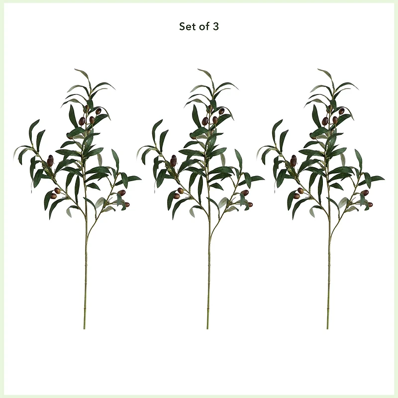 28" Olive Branch Stems, 3ct.