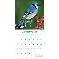 TF Publishing 2024 Backyard Birds Wall Calendar