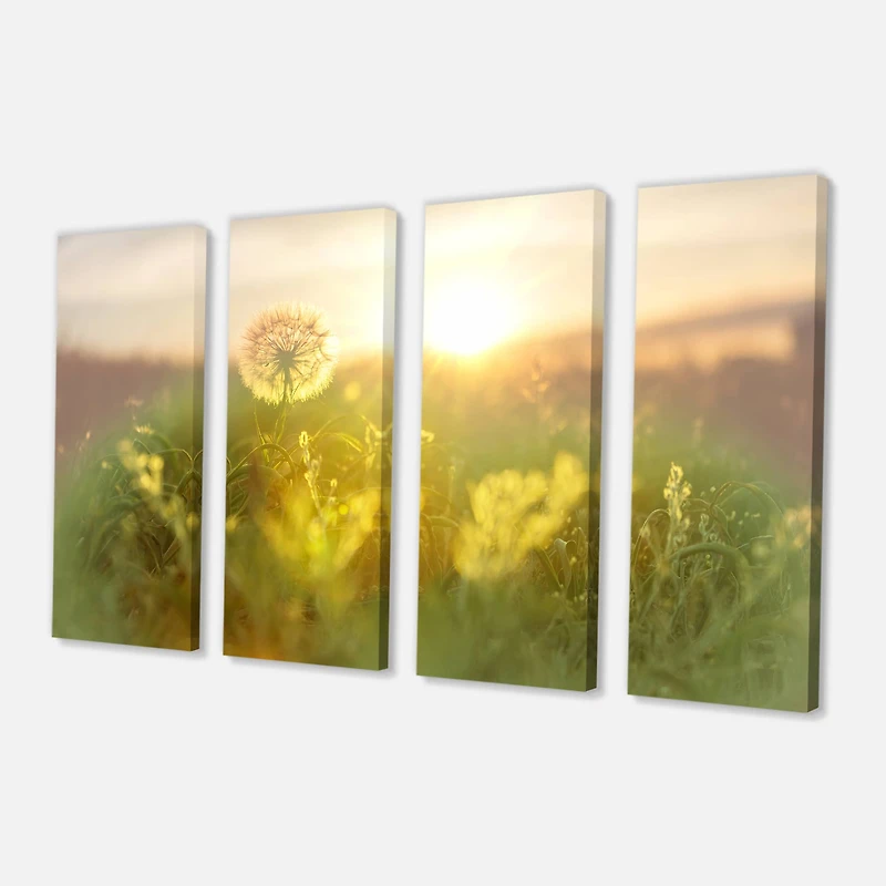Designart - Dandelion Blooming Flower in Field