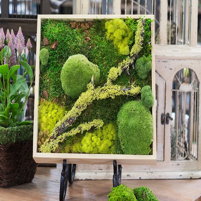 SuperMoss® Instant Green® Sticky All-Purpose Moss Mat