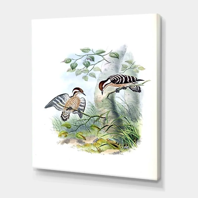 Designart - Vintage Birds In The Wild I