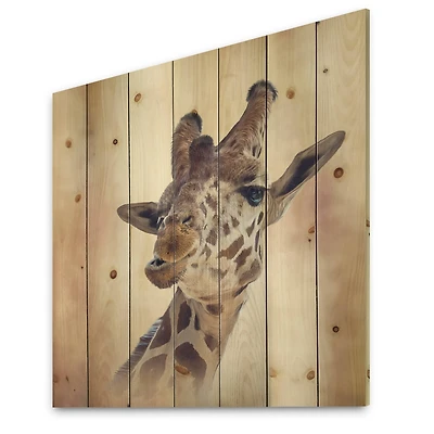 Designart - Portrait of A Giraffe I