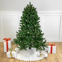4ft. Pre-Lit Sierra Noble Fir Artificial Christmas Tree, Clear Lights