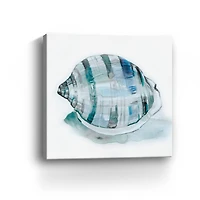Le Coquillage I Canvas Giclee