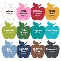 Apple Barrel® Acrylic Essentials 12 Piece Paint Set
