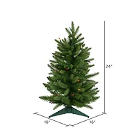 2ft. Pre-Lit Fraser Fir Artificial Christmas Tree, Multicolor Lights