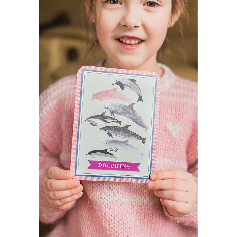 eeBoo Beautiful World Educational Flash Cards