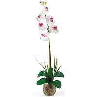 2ft. White Orchid Arrangement In Glass Vase