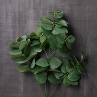 Eucalyptus Bunch Spray by Ashland®