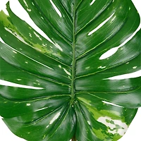 12 Pack: Monstera Leaf Stem by Ashland®