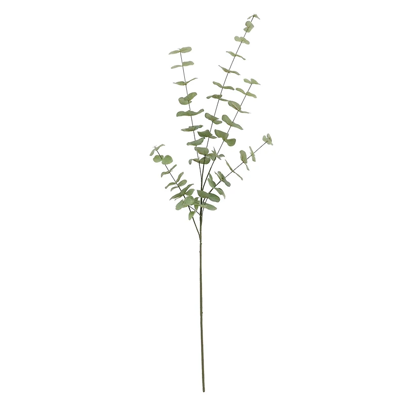 Tall Dusty Green Eucalyptus Stem by Ashland®