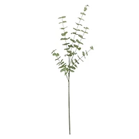 Tall Dusty Green Eucalyptus Stem by Ashland®