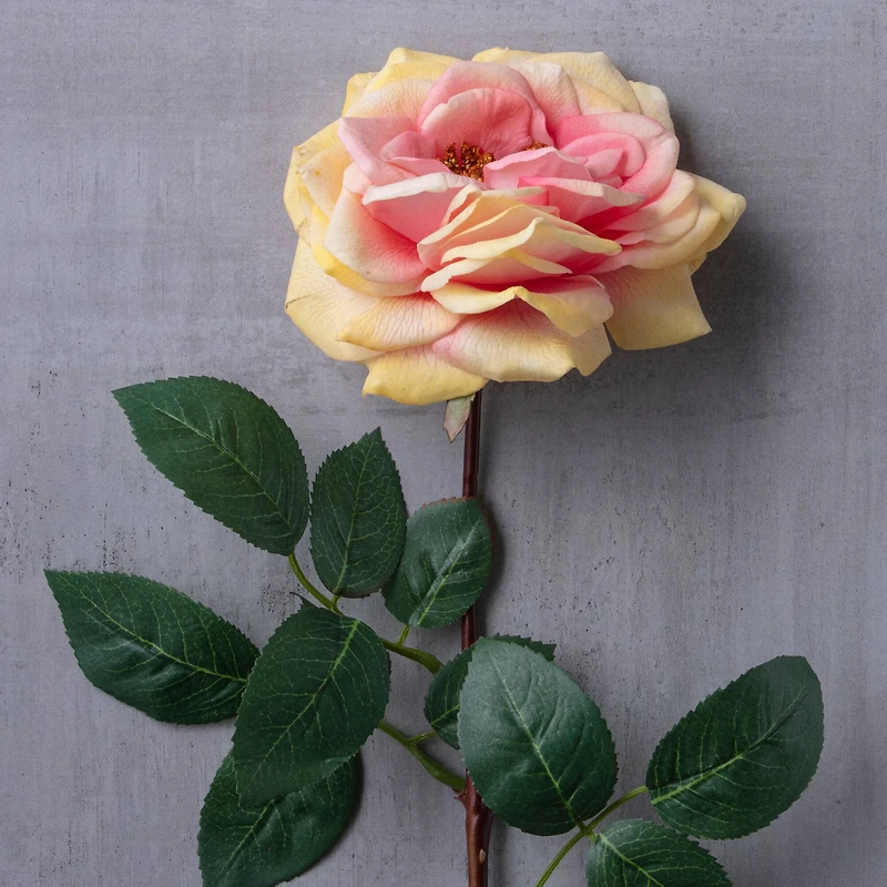 Orlane Rose Stem by Ashland