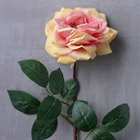 Orlane Rose Stem by Ashland