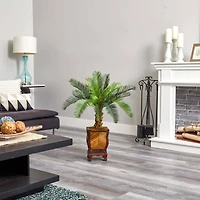 3ft. Cycas Palm Tree in Wood Planter