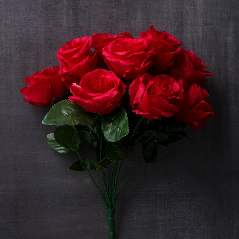 Red Rose Bush by Ashland