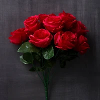 Red Rose Bush by Ashland