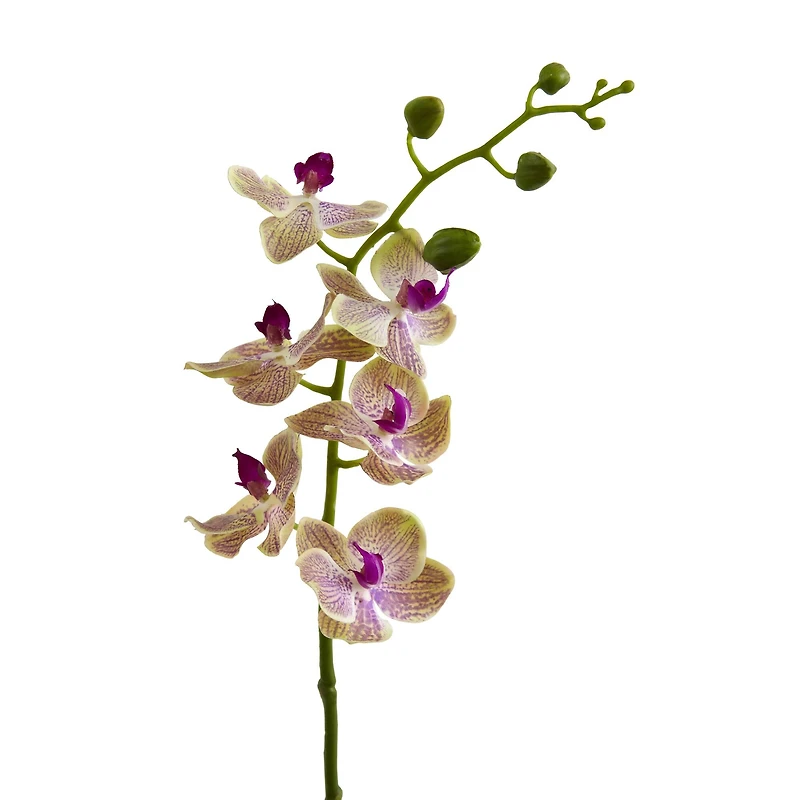 Moth Orchid Artificial Flower, 4ct.