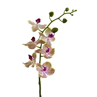 Moth Orchid Artificial Flower, 4ct.